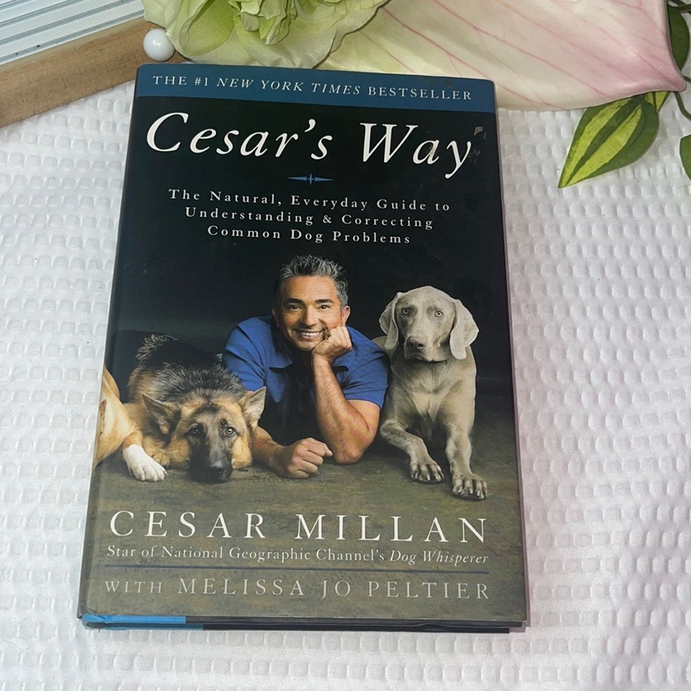 Cesar's Way :Natural, Everyday Guide to Understanding & Correcting Dogs